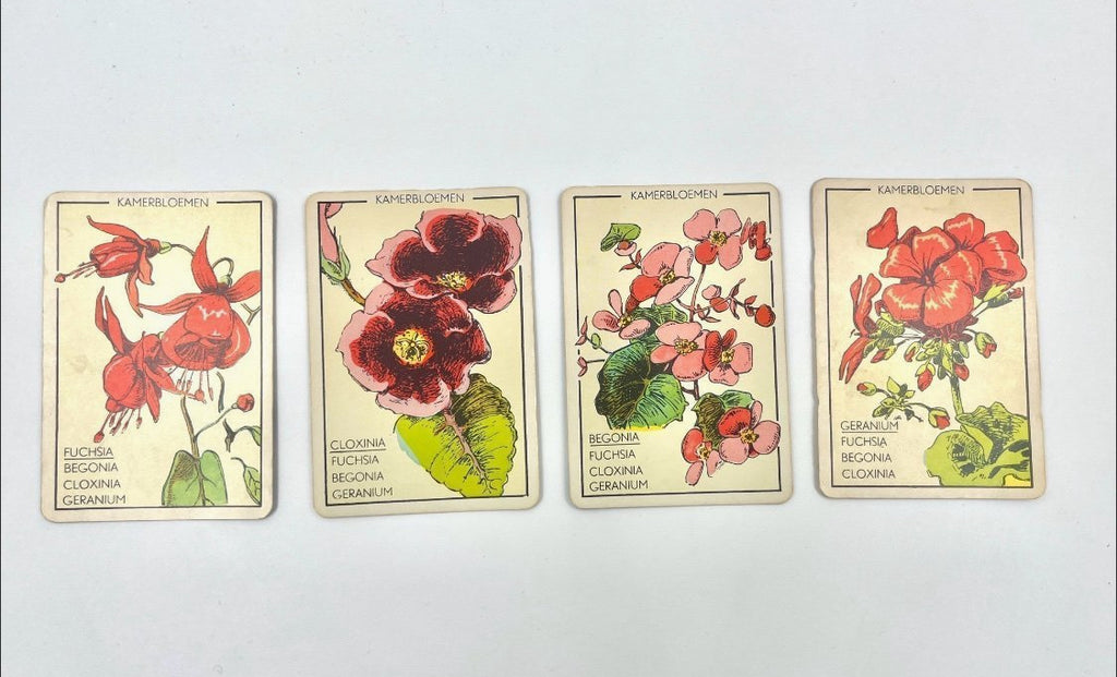 Vintage Papita Blomen Kwartet Card Game Floral Motif Retro
