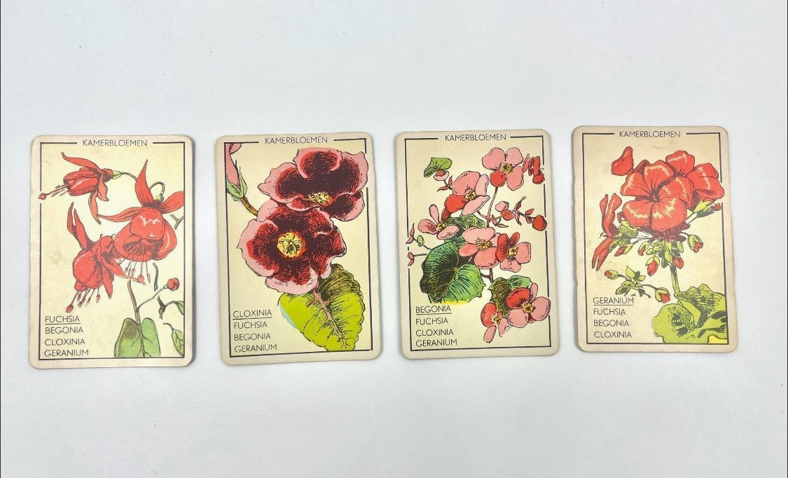 Vintage Papita Blomen Kwartet Card Game Floral Motif Retro