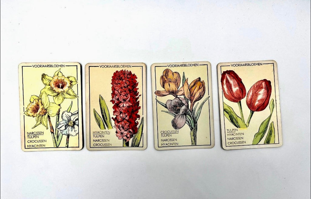 Vintage Papita Blomen Kwartet Card Game Floral Motif Retro