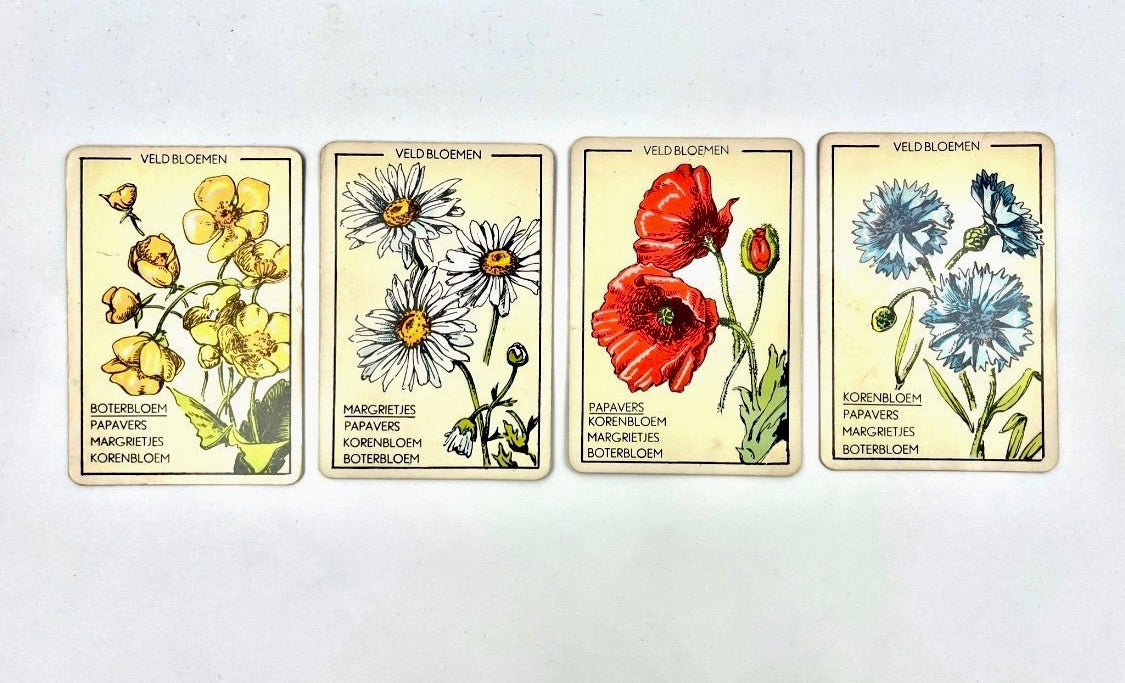 Vintage Papita Blomen Kwartet Card Game Floral Motif Retro