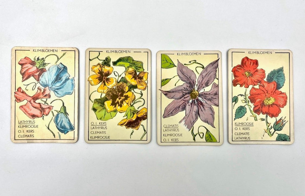 Vintage Papita Blomen Kwartet Card Game Floral Motif Retro