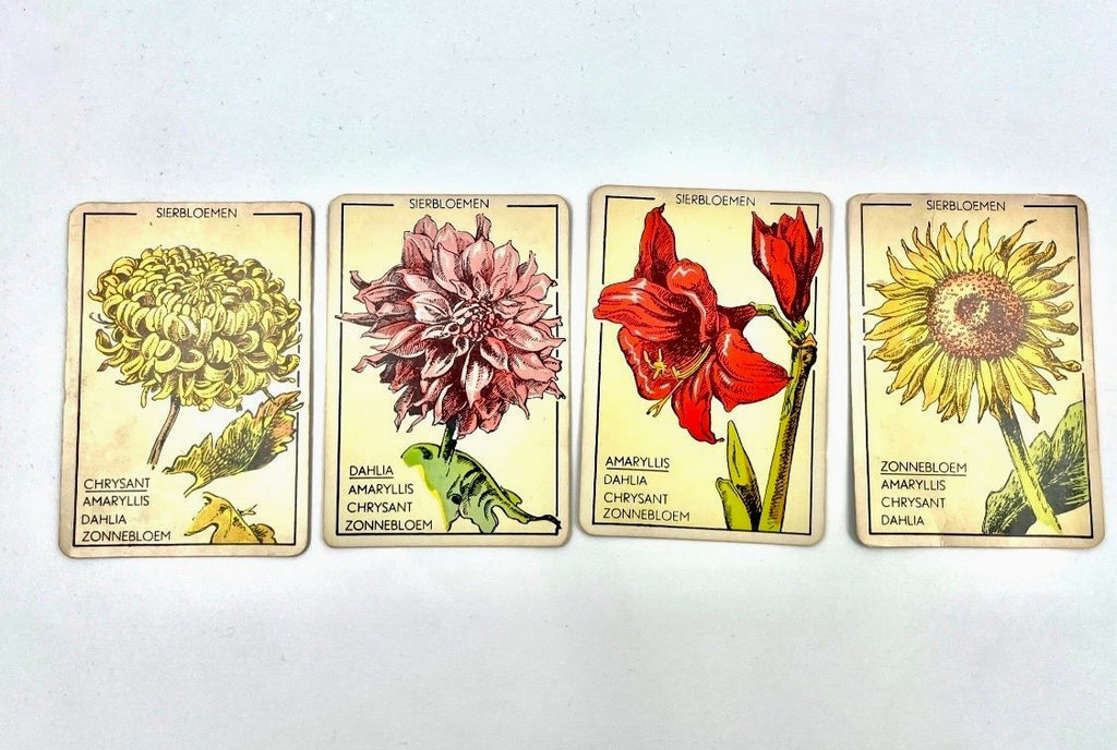 Vintage Papita Blomen Kwartet Card Game Floral Motif Retro