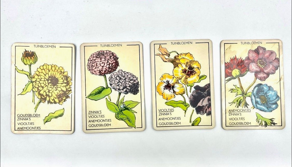 Vintage Papita Blomen Kwartet Card Game Floral Motif Retro