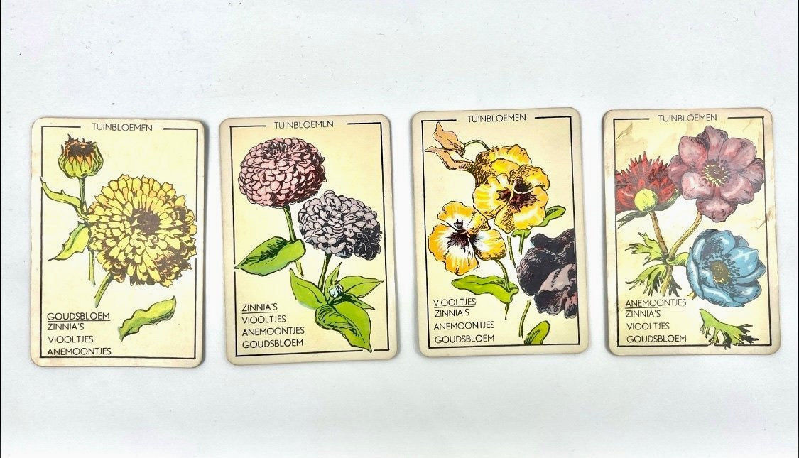Vintage Papita Blomen Kwartet Card Game Floral Motif Retro